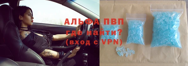 хмурый Пересвет