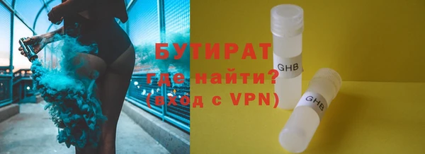 хмурый Пересвет
