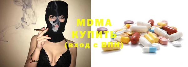 хмурый Пересвет