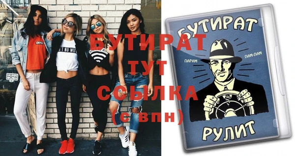 хмурый Пересвет