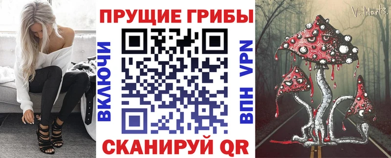 Галлюциногенные грибы Cubensis  Купить  Афипский 